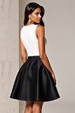 Black And White A-Line V-Neck Mini Dress