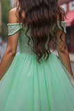 Off The Shoulder Corset Mint Green Appliqued Homecoming Dress