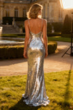 Silver Mermaid Spaghetti Straps Formal Dress With Sequins
