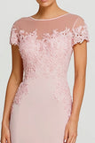 Pink Mermaid Maxi Dress With Lace Appliques