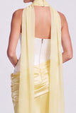 Strapless Corset Satin Mermaid Brown Maxi Dress