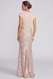 Mermaid Light Green Sequins V-Neck Maxi Formal Dress