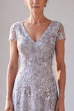 Floral Sequins Silver Grey A-Line V-Neck Maxi Mother Of The Bride Dress
