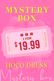 $19.99 Secret Homecoming Dress