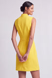 Pink Bodycon Sleeveless Single Breasted Mini Work Dress